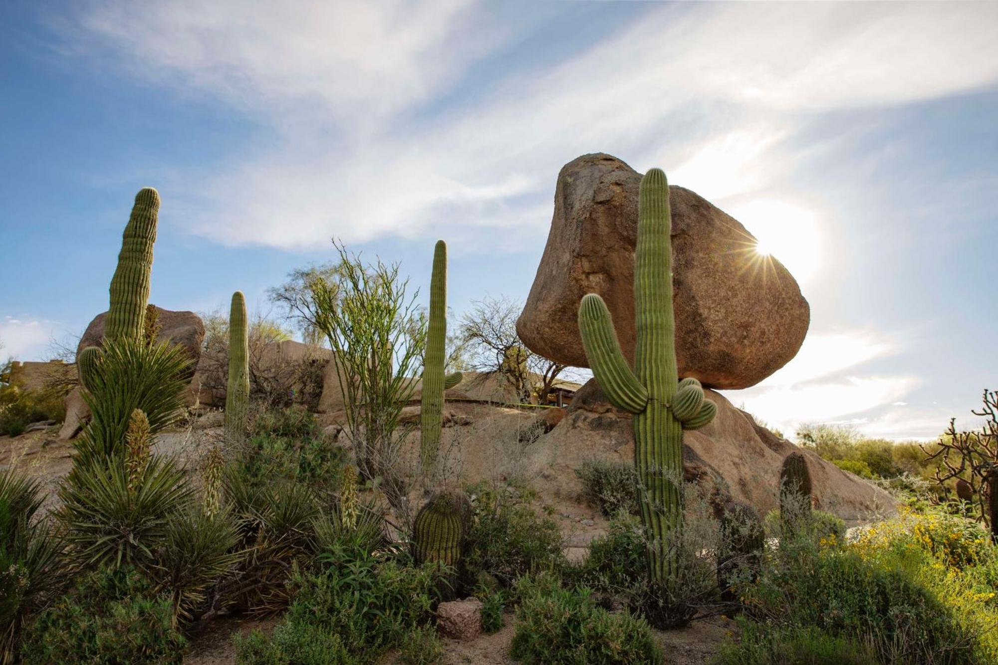 Boulders Resort & Spa Scottsdale, Curio Collection By Hilton Esterno foto